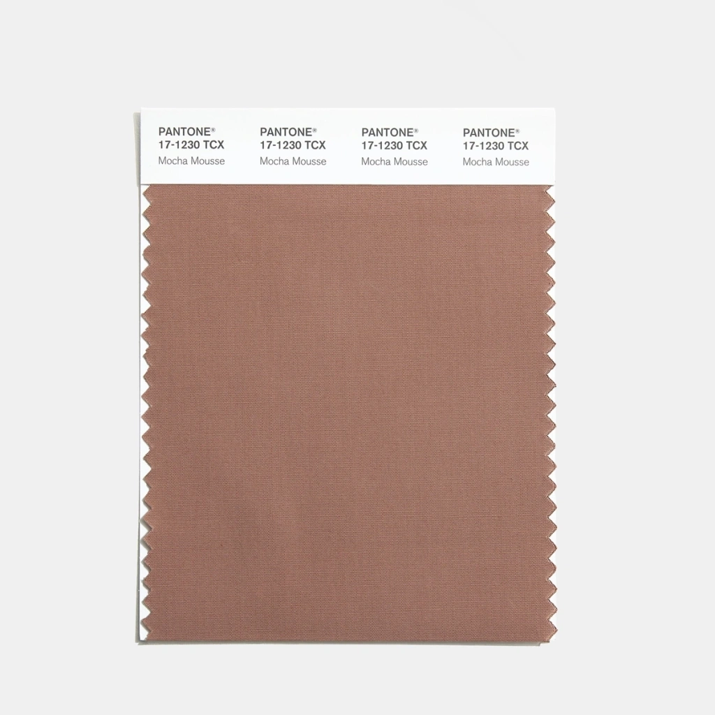 swcd-tcx-color-of-the-year-2025-mocha-mousse.jpg