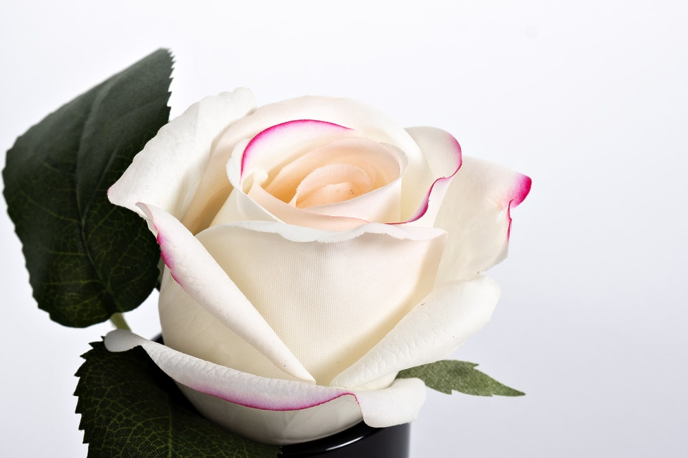 Диффузор Rose Bud Pink, спрей Rose Petal  96СN-RB42