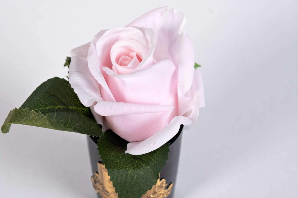 Диффузор Rose Bud Frech Pink, спрей Pink Peonies 96СN-RB46